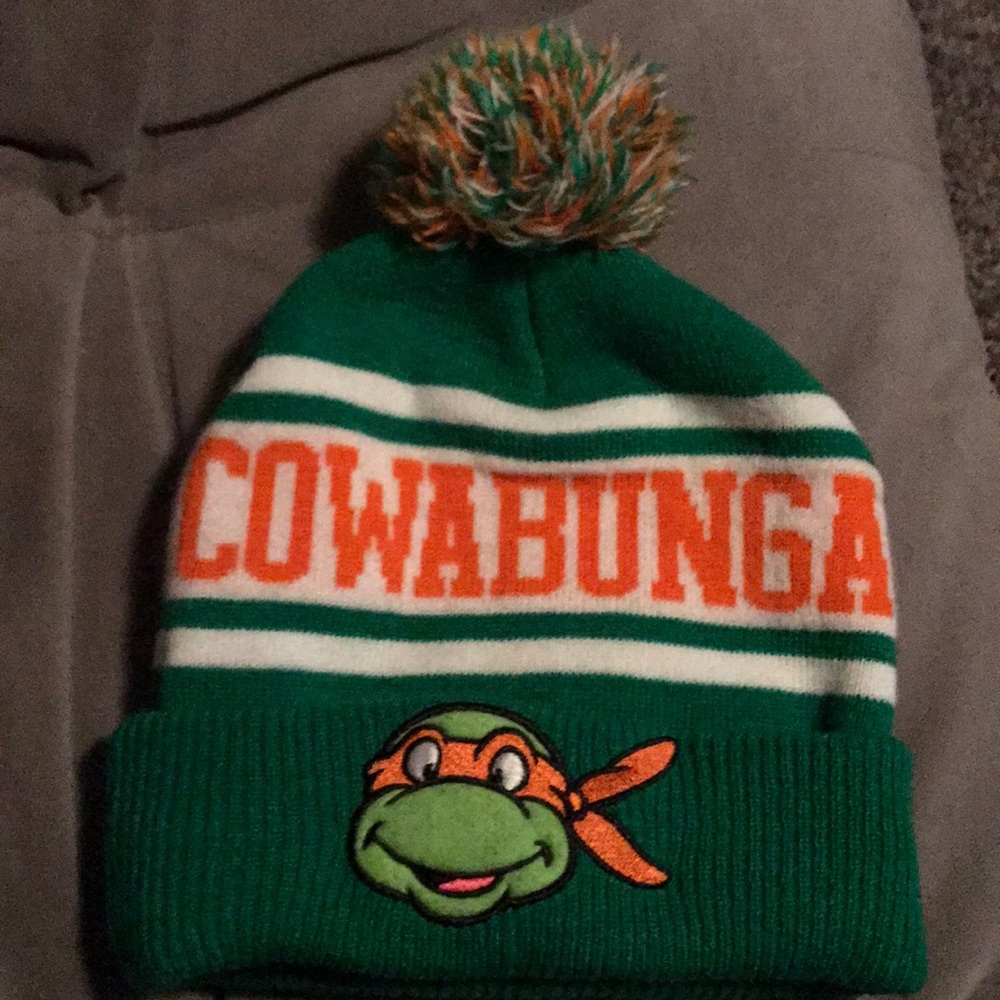 Ninja turtles 🐢 beanie